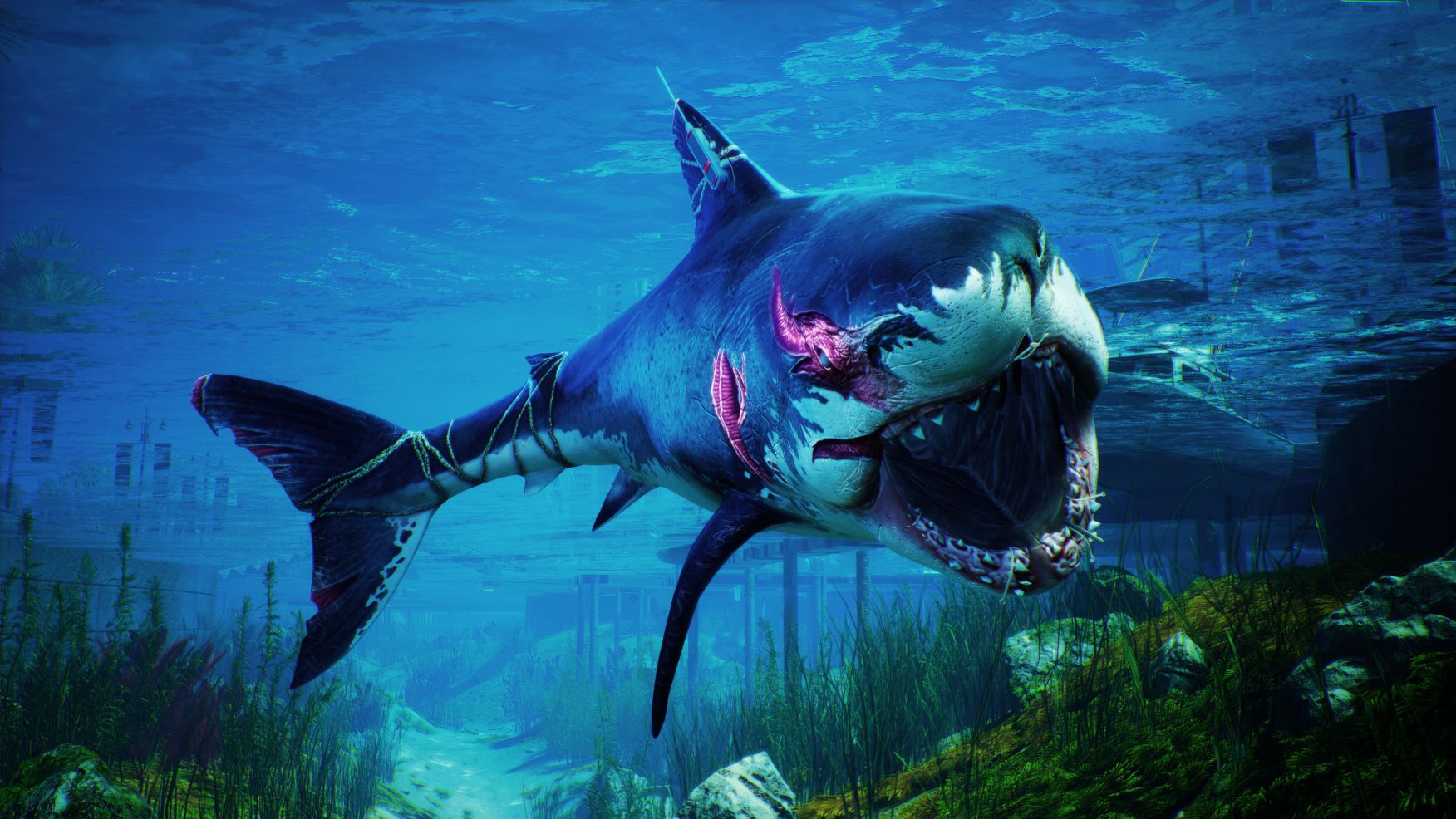 Представлен третий дневник разработчиков Maneater – игры про акулу