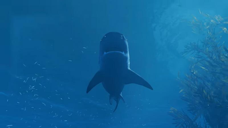 E3 2018: Tripwire Interactive Анонсирована игру про акулу-людоеда — Maneater